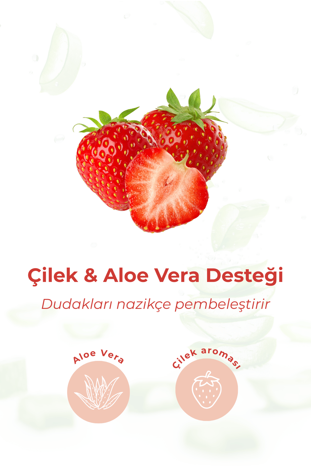 Bio Asia Çilek & Aloe Vera Lip Balm – Besleyici, Tatlı Aromalı Yoğun Dudak Nemlendiricisi (Pembe Renkli)