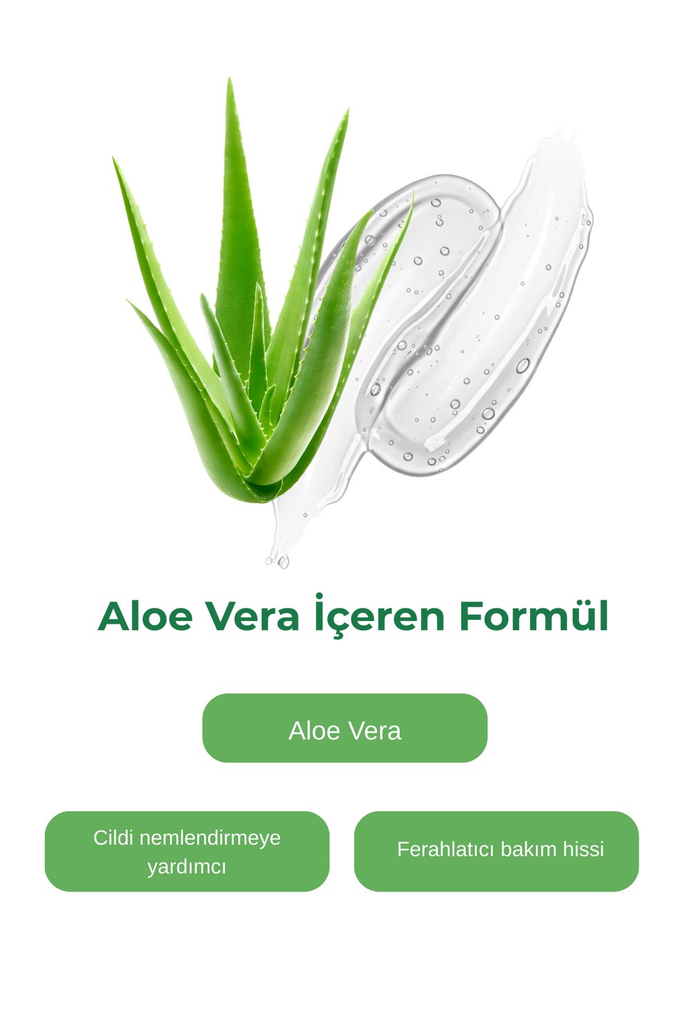 Bio Asia Sıkılaştırıcı Krem – Bölgesel Sıkılaştırma & Toparlayıcı Etkili 150 ml