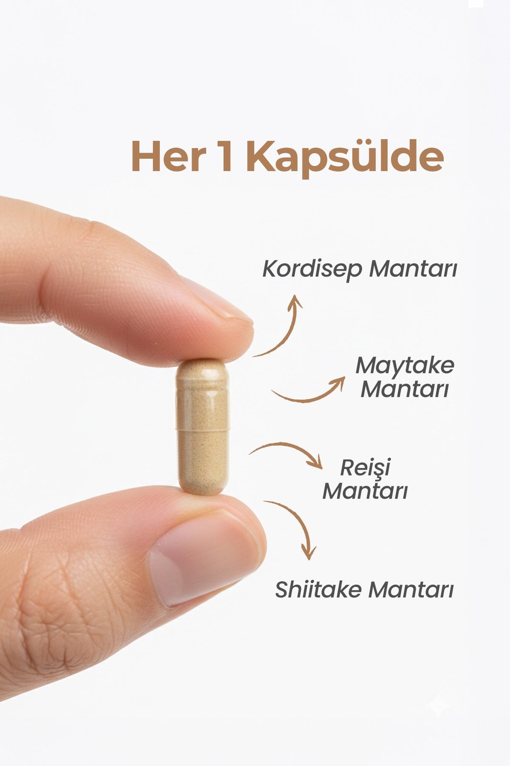 Multimed Mantar Kompleksi – Bağışıklık Sistemi Güçlendirici 4’lü Mantar Karışımı – 120 Kapsül