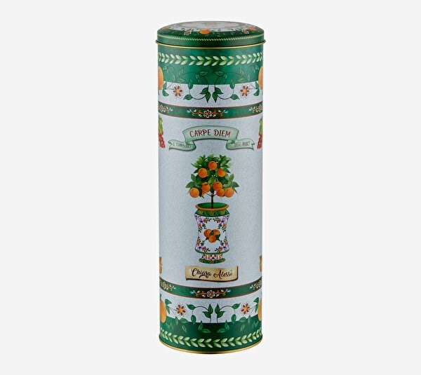 Portakal Ağacı 32 Cm Uzun Silindir Kutu CALTCD315GR2