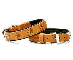 DOGGİE KONFOR DERİ PATİ DESENLİ BOYUN TASMASI KAMEL 3X42-50CM
