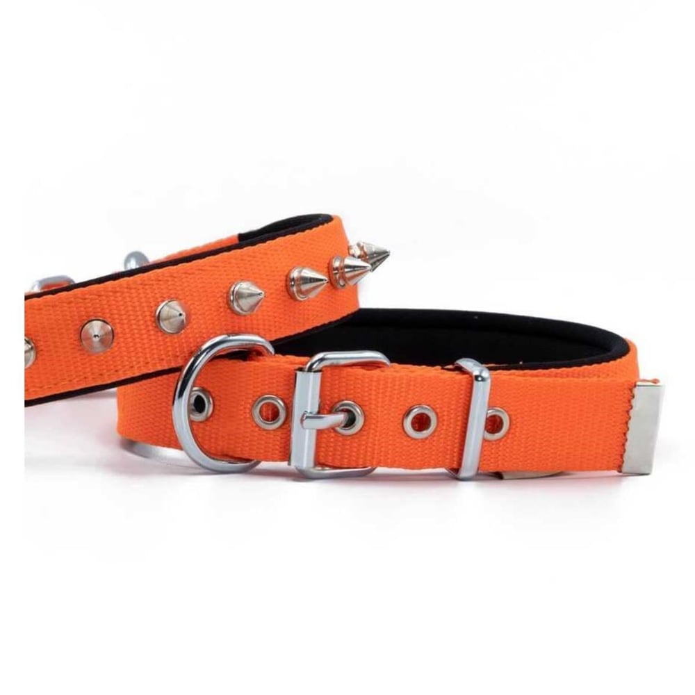 DOGGİE KONFOR DOKUMA ÇİVİLİ BOYUN TASMASI TURUNCU 3X42-50CM