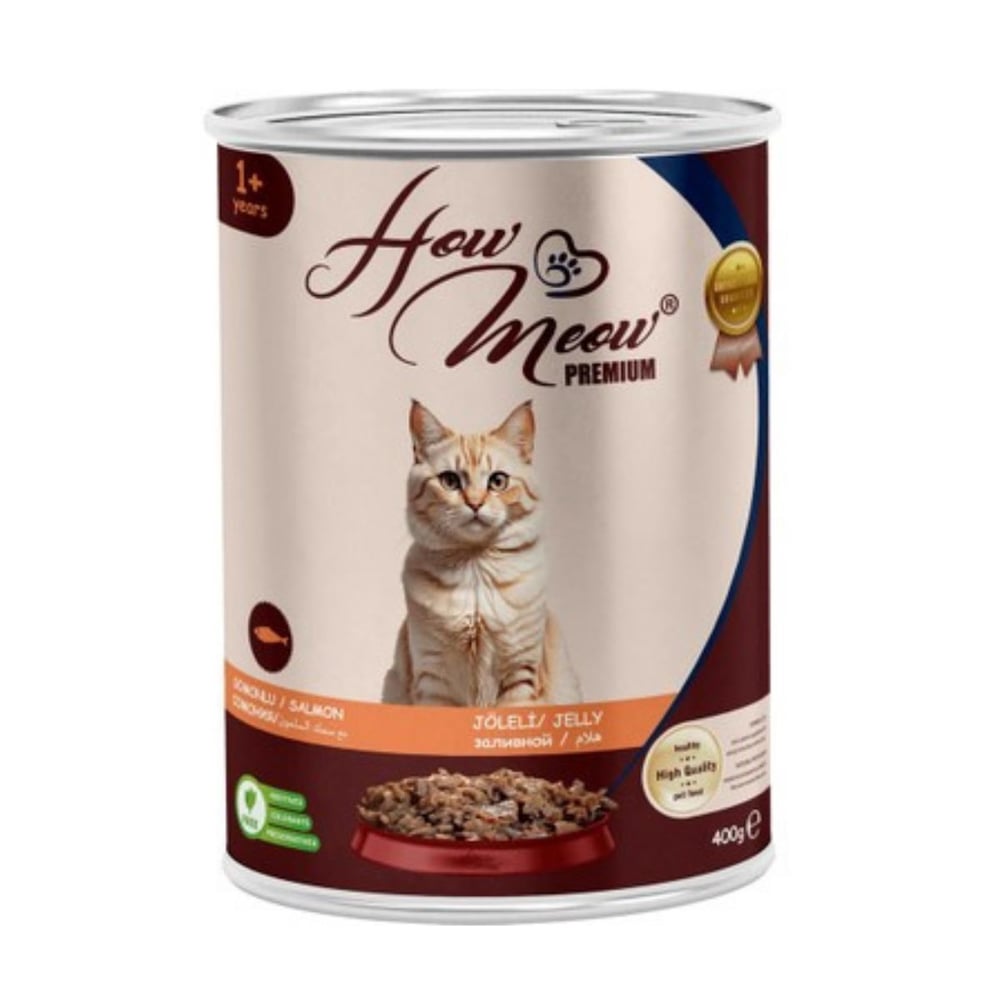 How Meow Somonlu Jöleli Parça Etli Yetişkin Kedi Konservesi 400 Gr
