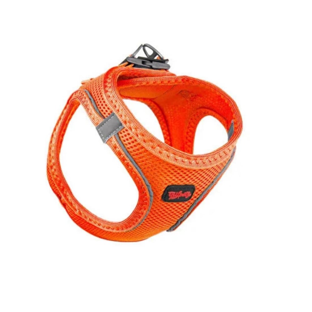 Pawstar Kedi Köpek Göğüs Tasması S Orange