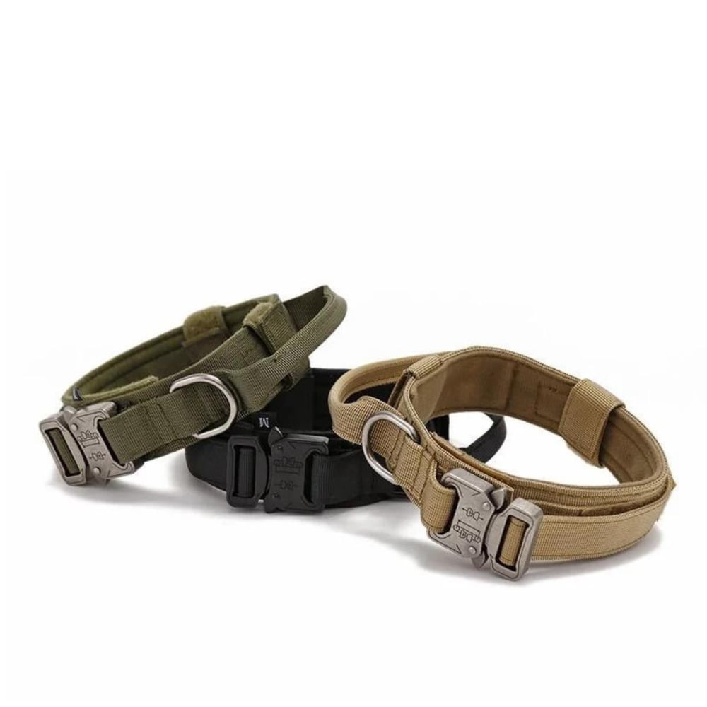 YEMCİPETSHOP RX010 Boyun  Köpek Tasması Large