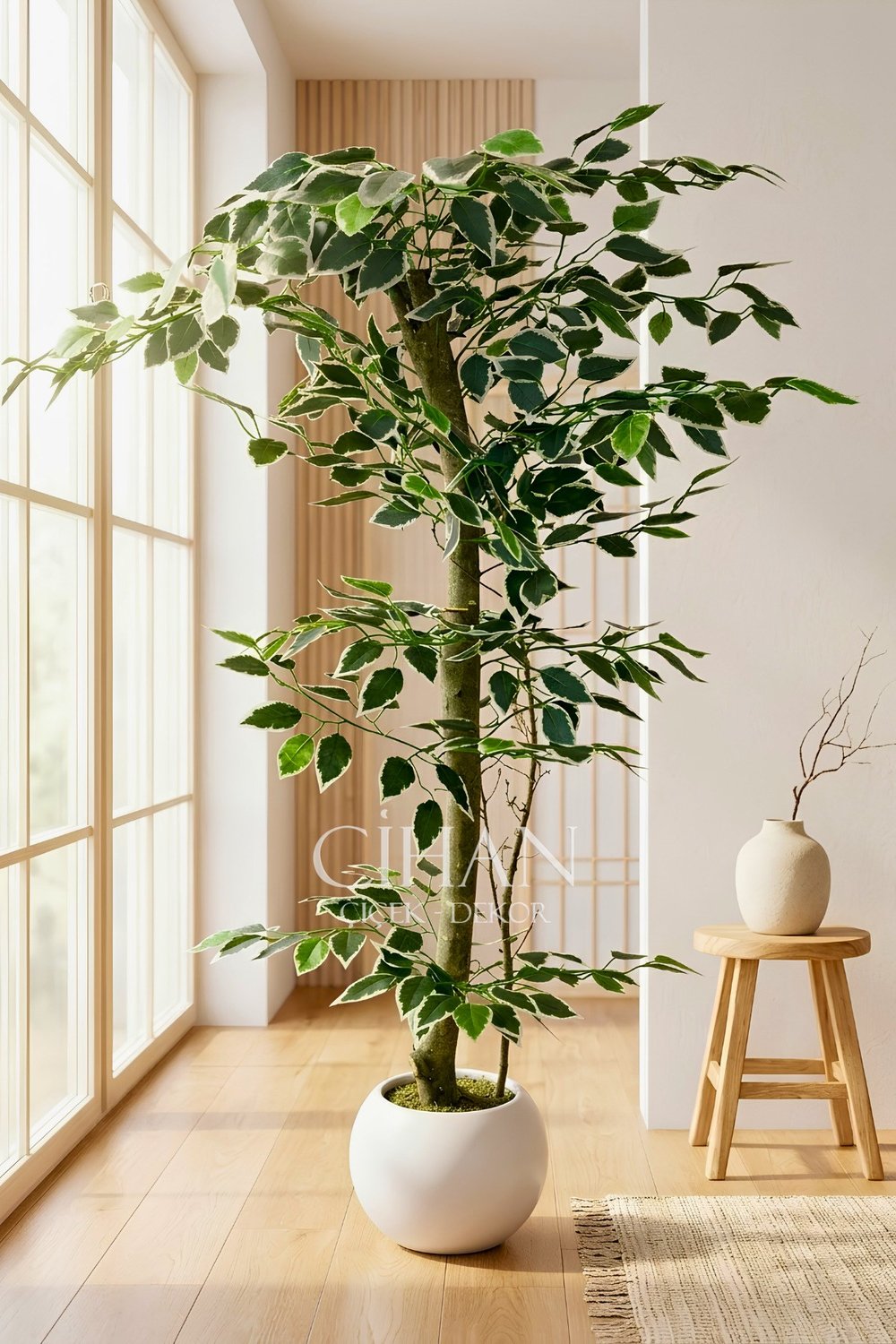 120 cm Yapay Ficus Ağacı Beyaz 27x33 Küre Saksılı