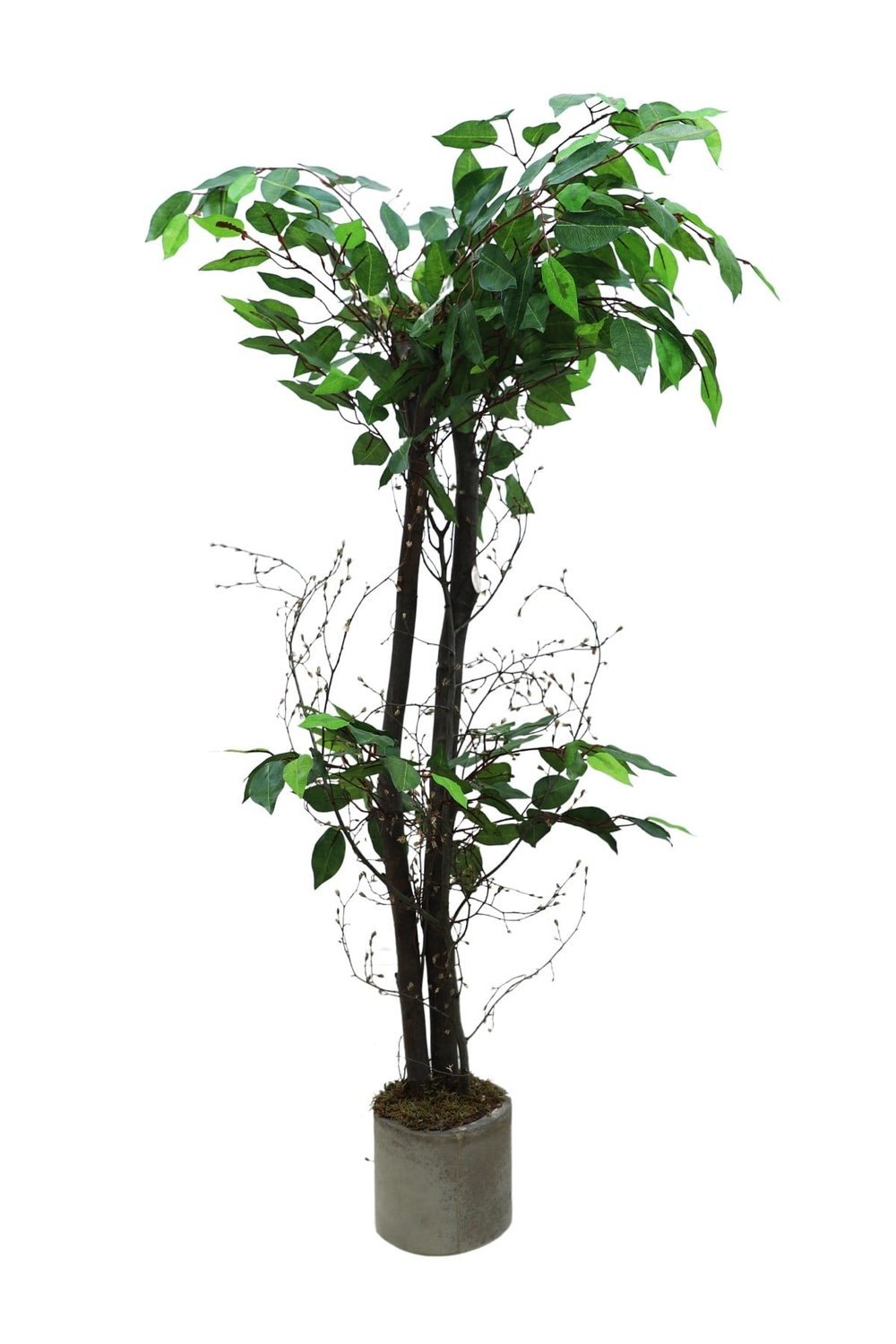 Benjamim 100 Cm Yapay Ağaç 12x12 Metal Saksı
