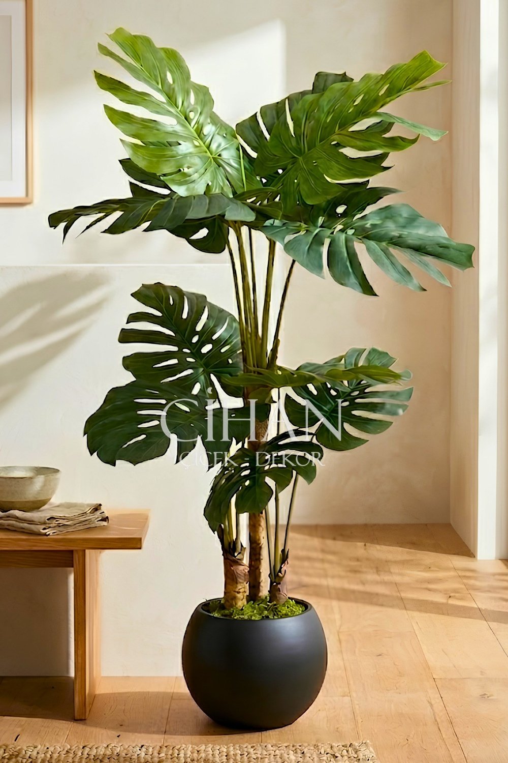 Monstera Ağacı 170cm Antrasit Küre Saksı