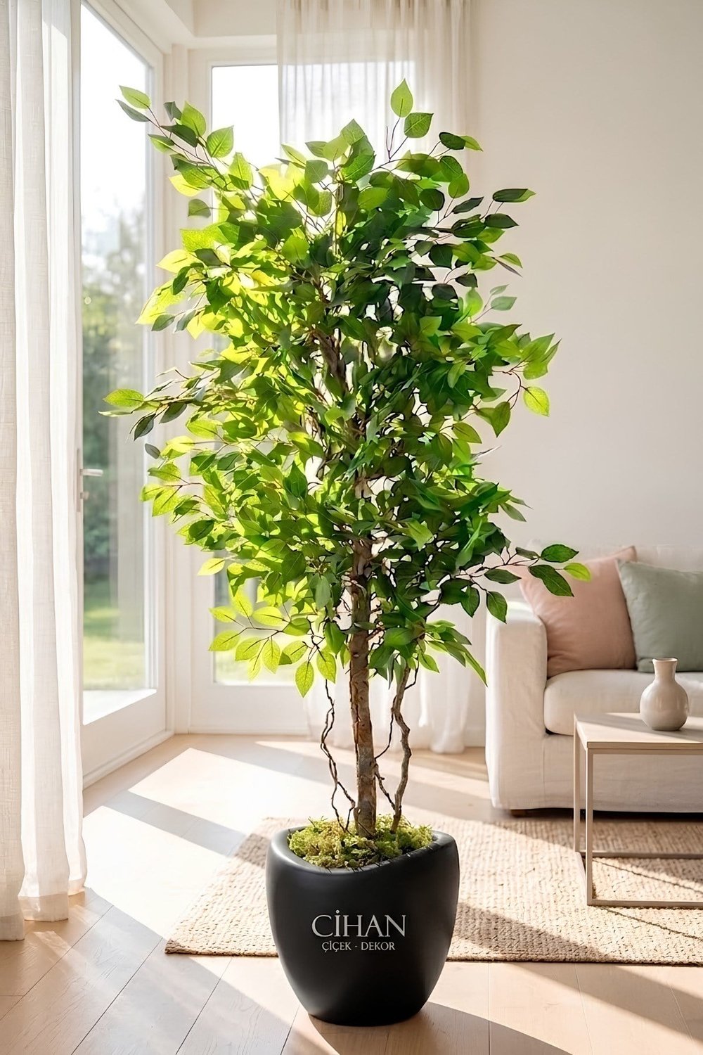 Premium Yapay Yeşil Benjamin Ağacı 150 cm - 32*28.5 Plastik Lale Saksılı