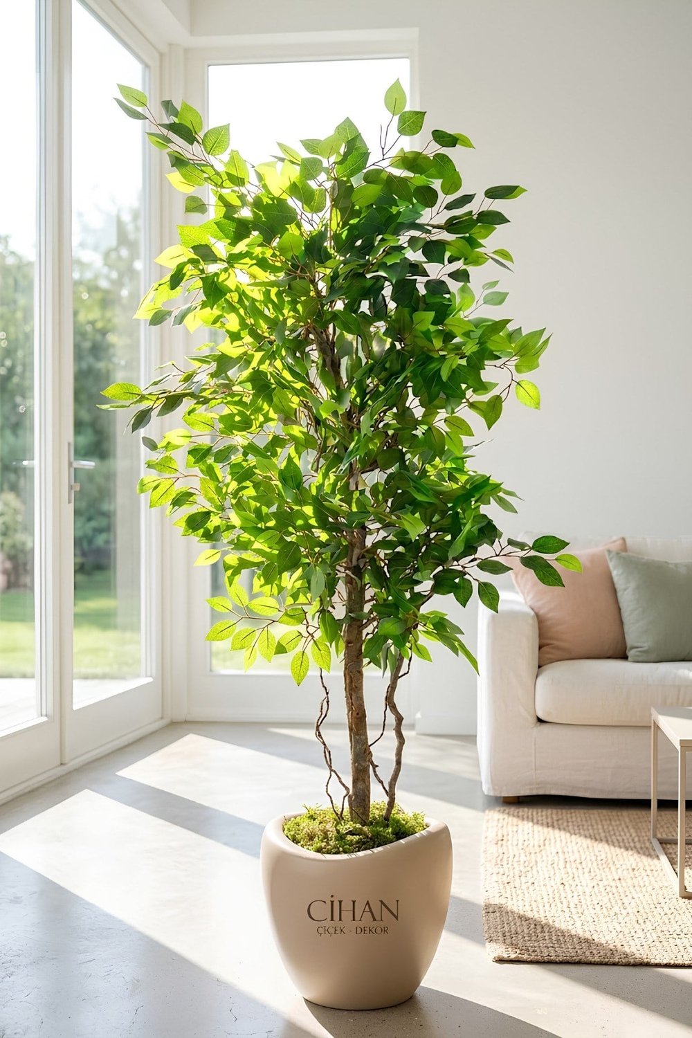 Premium Yapay Yeşil Benjamin Ağacı 150 cm - 32*28.5 Plastik Lale Saksılı