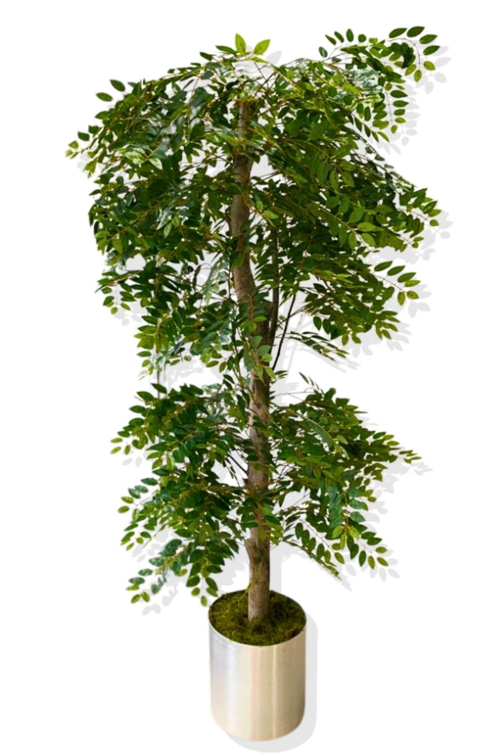 Şeflera 180 Cm Yapay Ağaç Metal Saksı