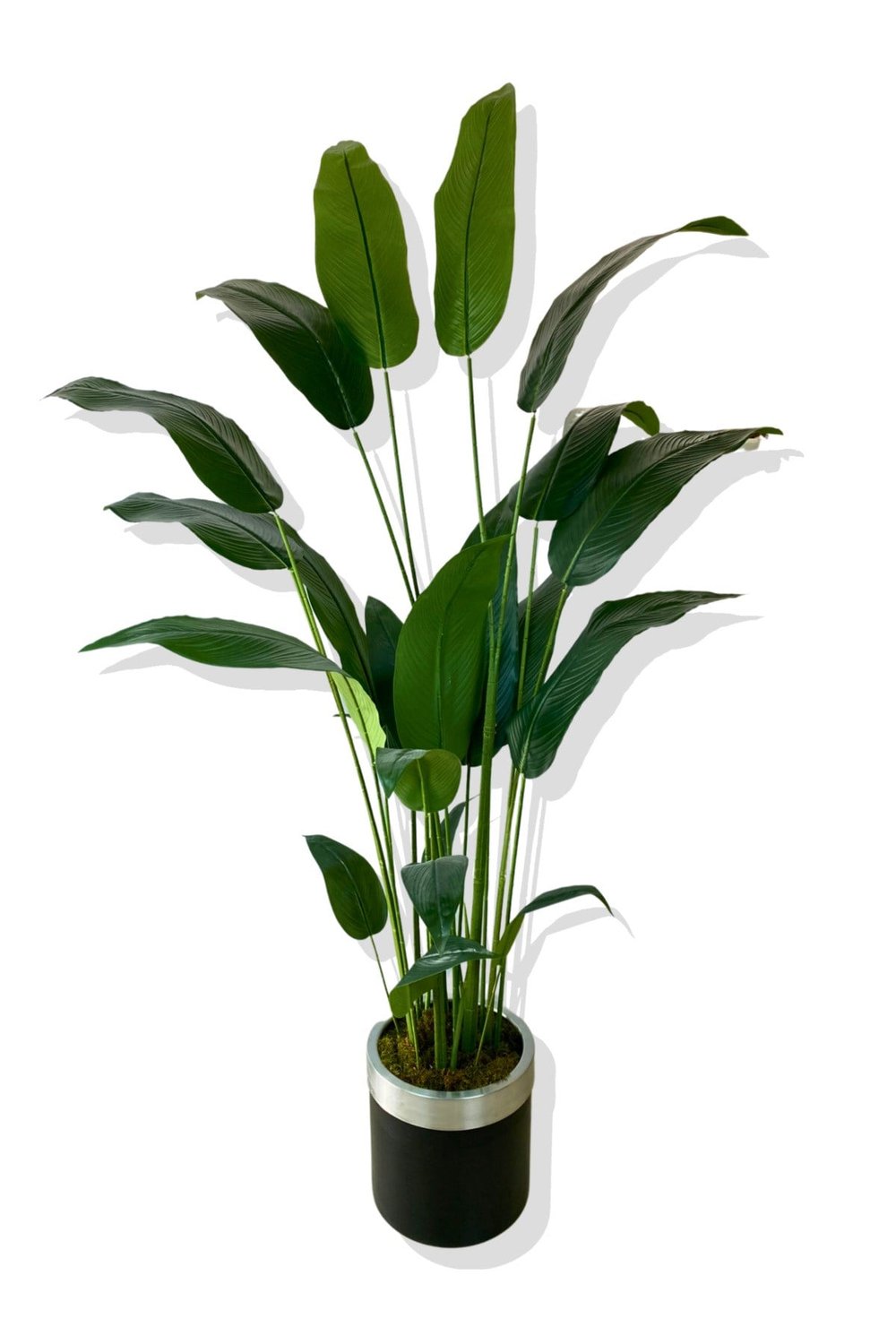 STARLİÇE 24 YAPRAK 190 CM YAPAY AĞAÇ 30X30 GÜMÜŞ KEMERLİ SAKSI