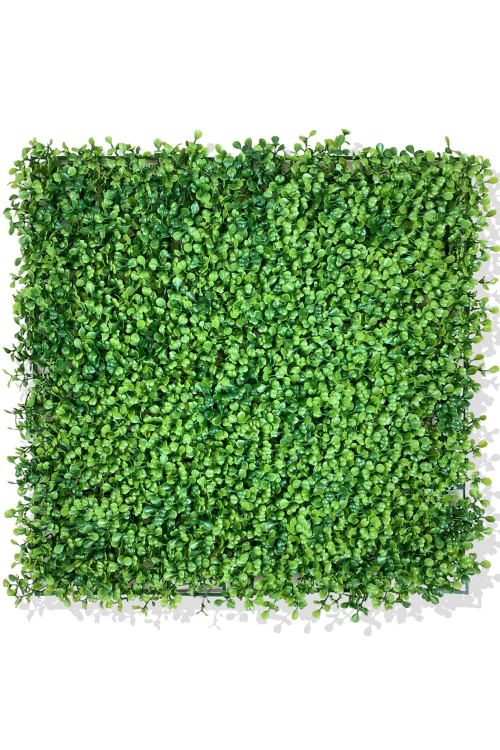 U.V DAYANIMLI YAPAY ŞİMŞİR BİTKİ DUVAR KAPLAMA 50X50 CM YEŞİL
