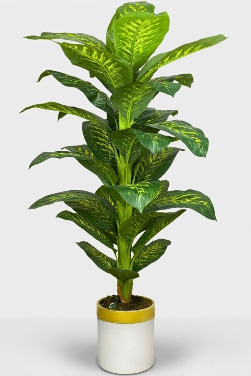 Yapay Ağaç Difenbahya 160 Cm
