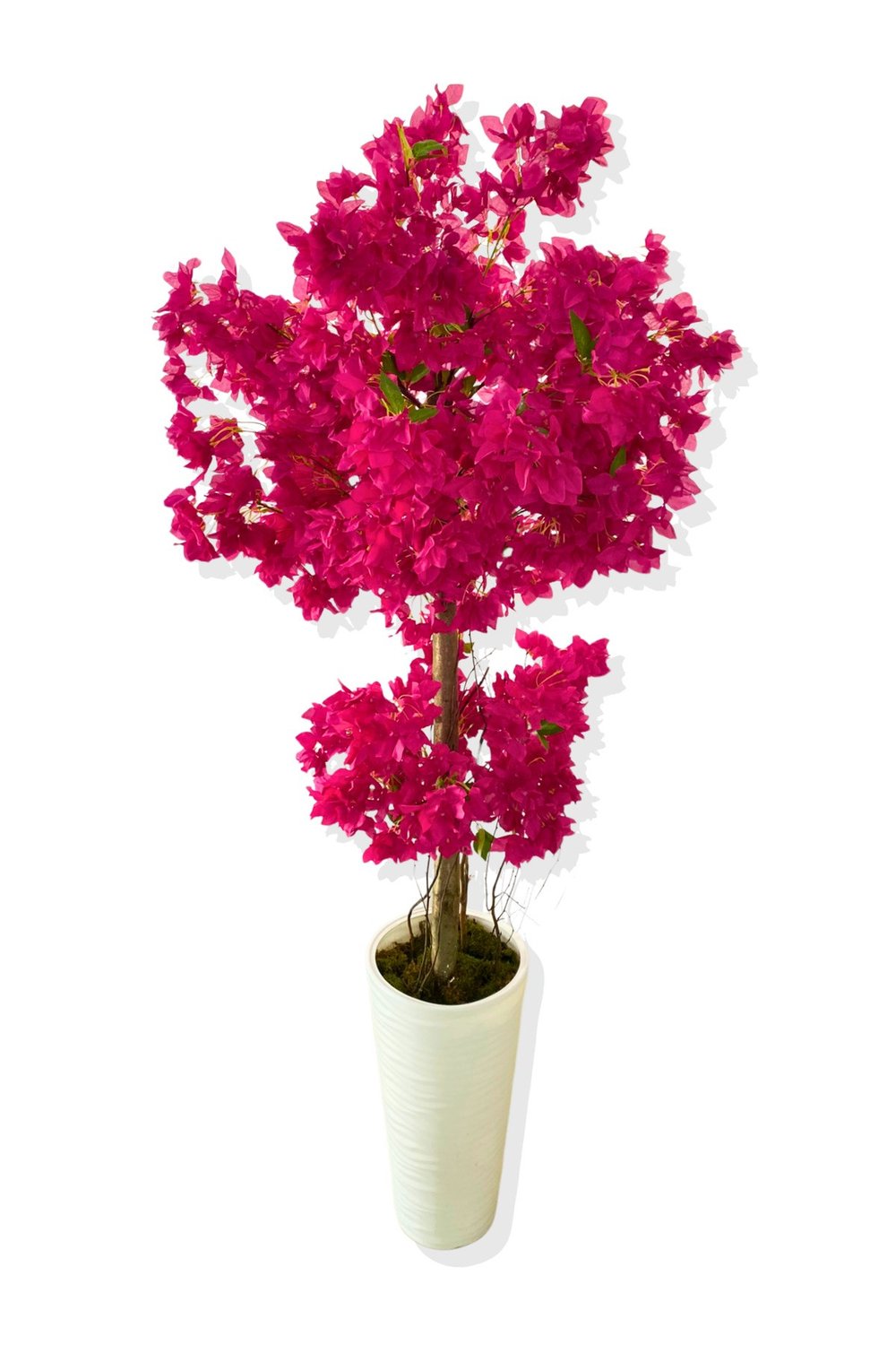 YAPAY AĞAÇ FUŞYA BEGONVİL 190 CM 56X30X20 BEYAZ KUMSAL SAKSI