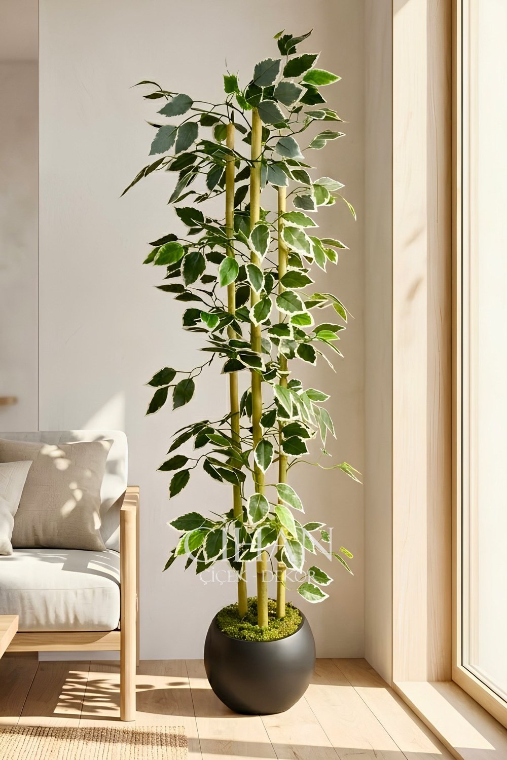 Yapay Alacalı Ficus Ağacı 3 Bambulu 110 cm 27*33 Siyah Küre Saksılı
