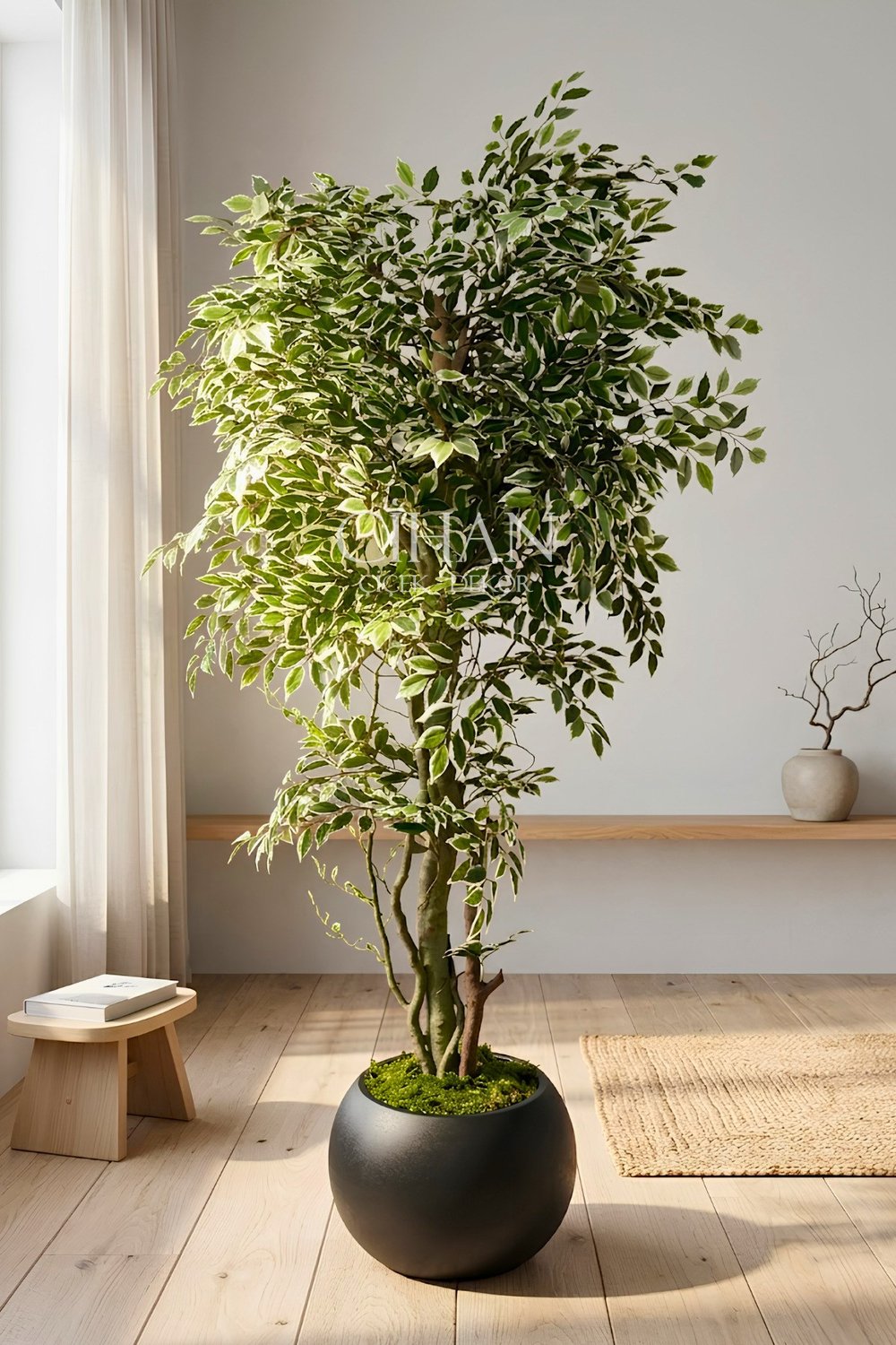 Yapay Benjamin Starlight Ağacı 180 cm - Küre Saksılı