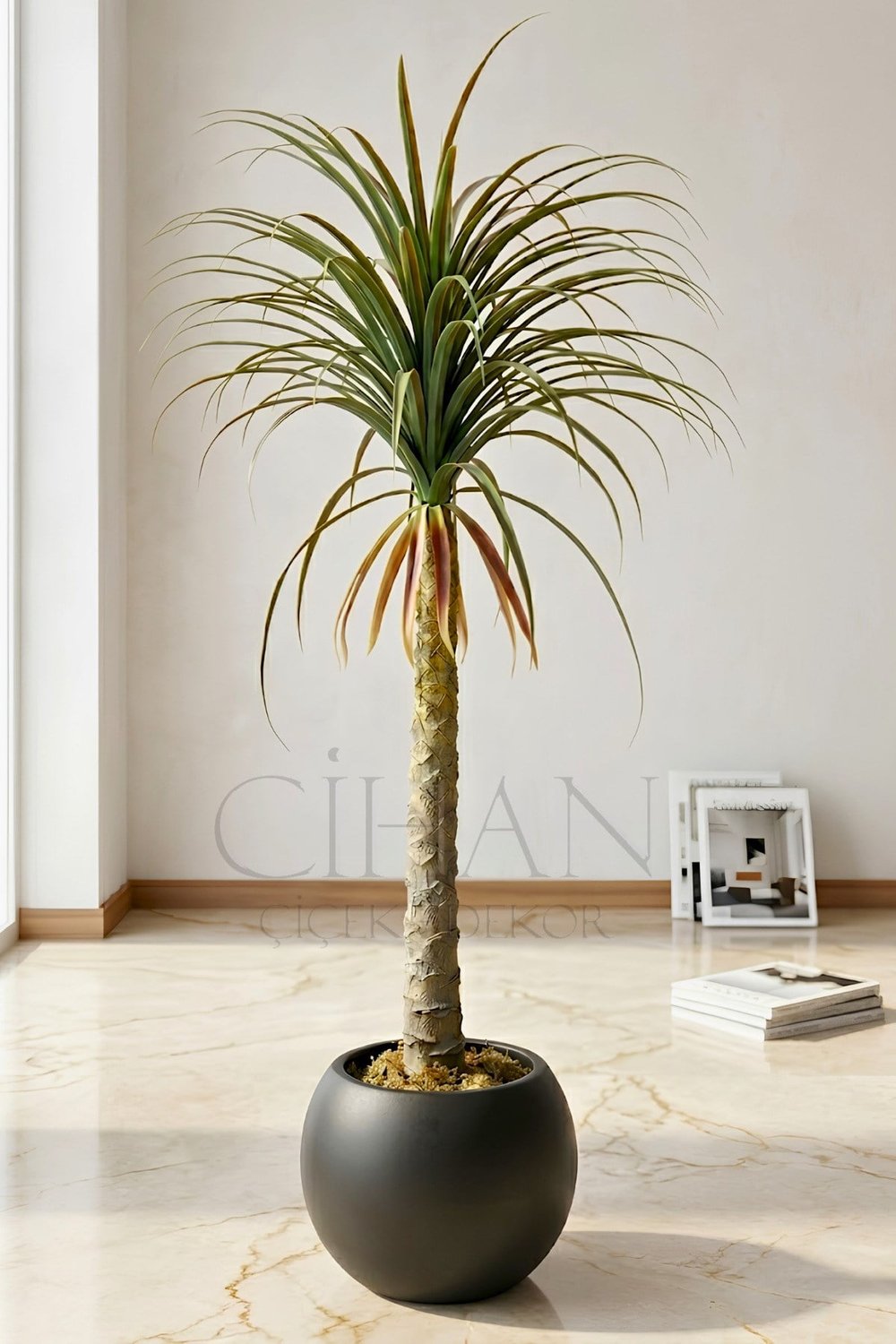 Yapay Dracaena Marginata - Beyaz Küre Saksı