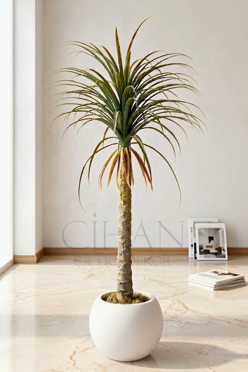 Yapay Dracaena Marginata - Beyaz Küre Saksı