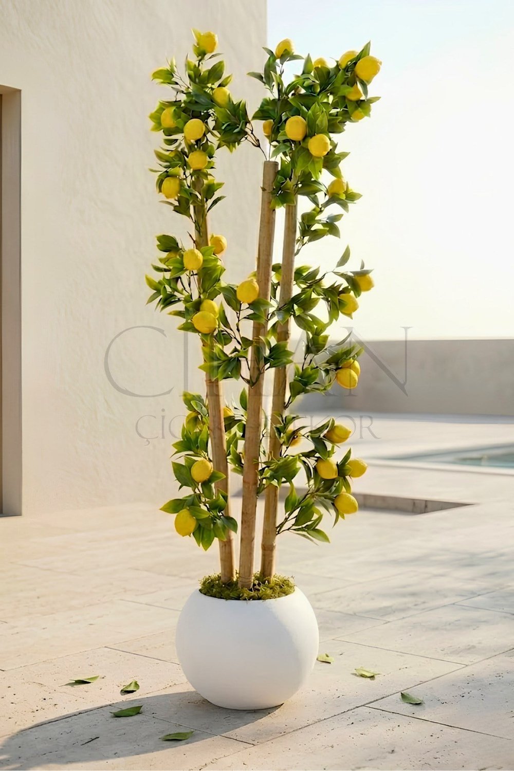 Yapay Limon Bambu Ağacı - Beyaz Küre Saksılı 100 cm