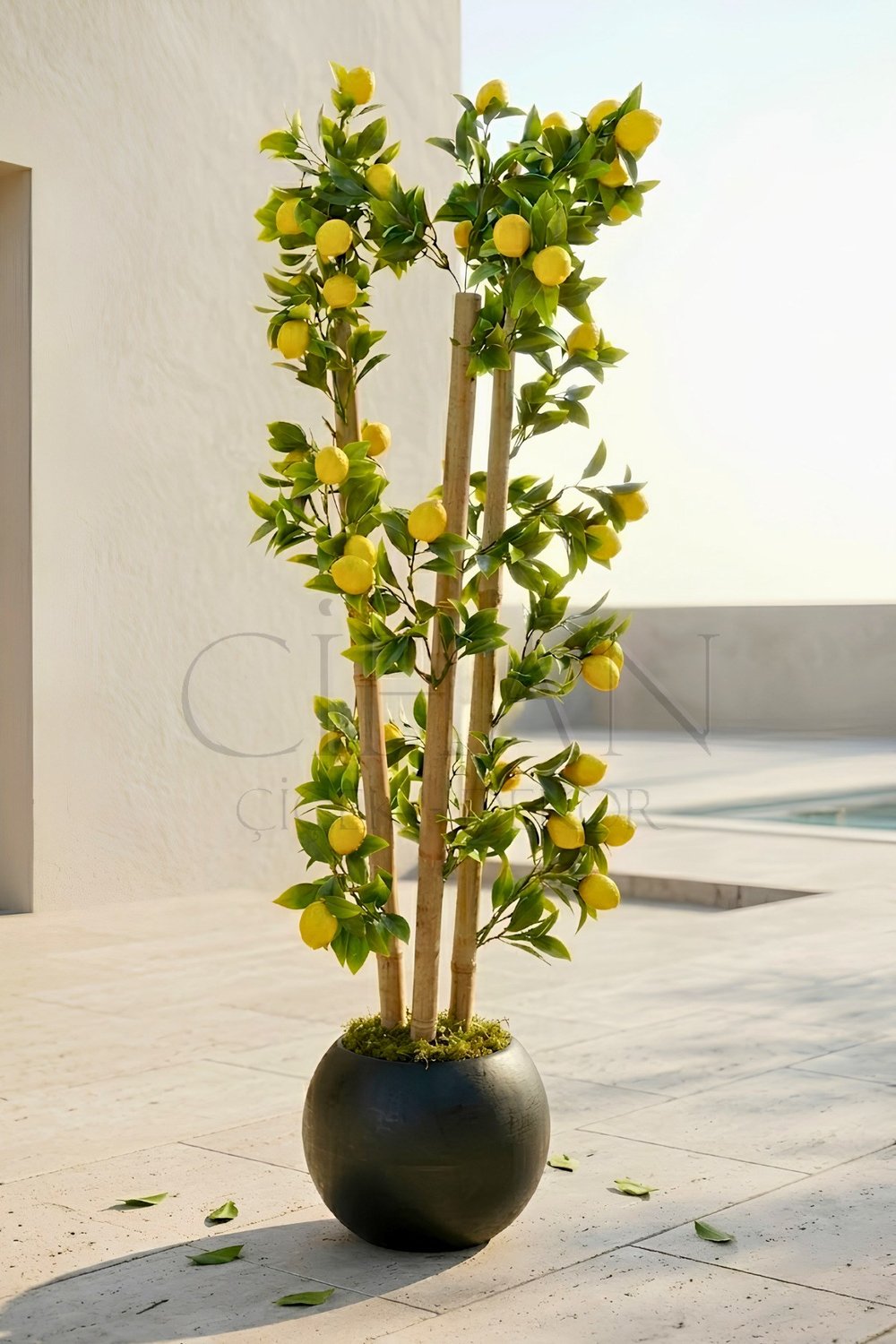 Yapay Limon Bambu Ağacı - Siyah Küre Saksılı 100 cm