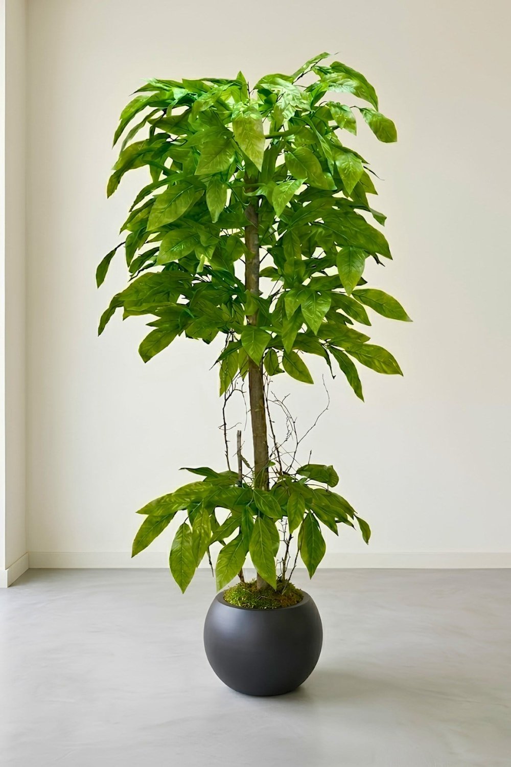 Yapay Yeşil Ceviz Ağacı - Küre Saksılı 180 cm