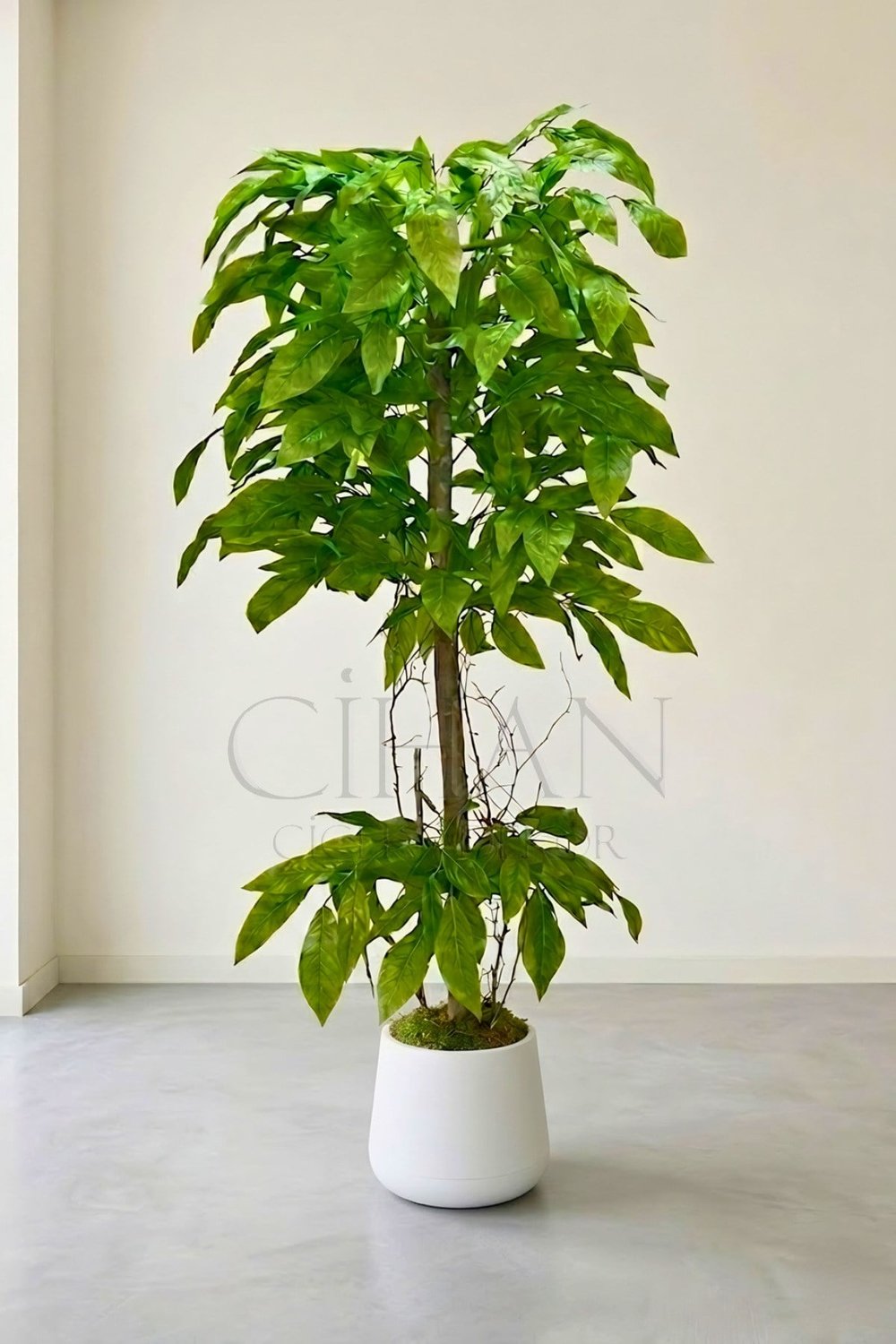 Yapay Yeşil Ceviz Ağacı - Plastik Saksılı 180 cm