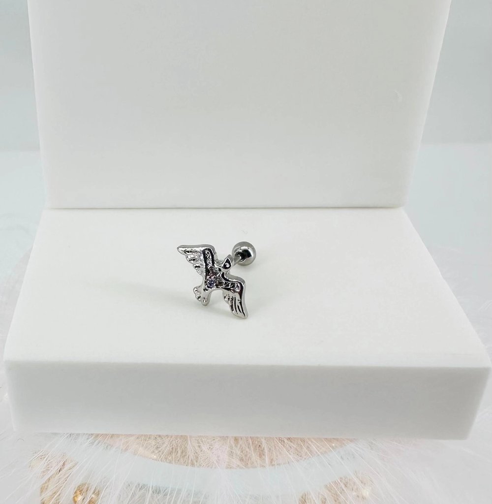 Tragus Kıkırdak Küpesi