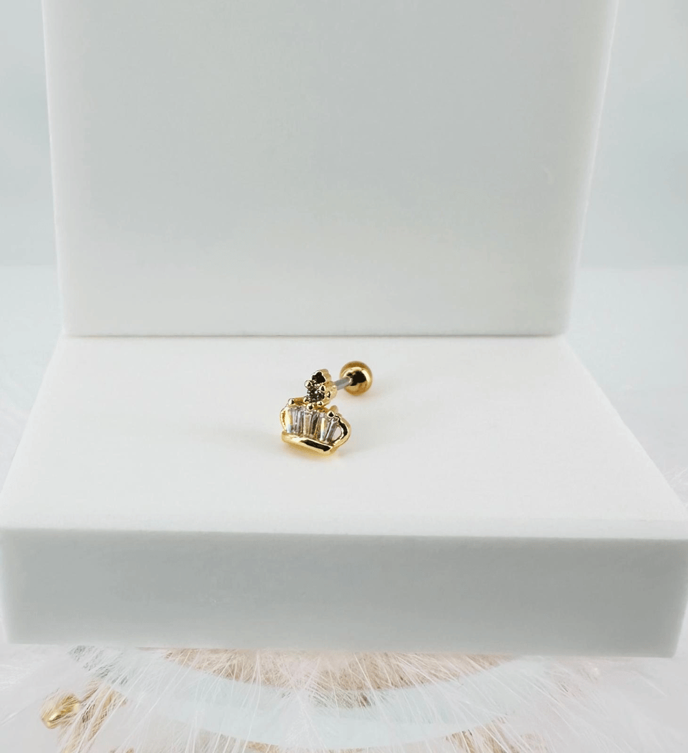Tragus Kıkırdak Küpesi