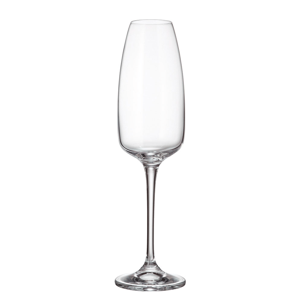 COLLECTİON ANSER ŞAMPANYA BARDAĞI 290 ML