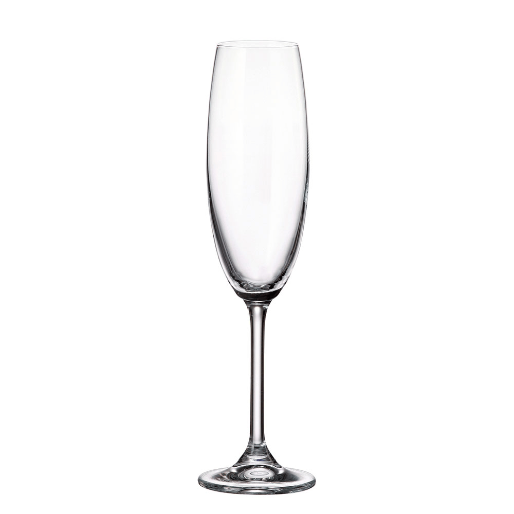 COLLECTİON COLIBRI CHAMPAGNE FLUTE 220 ML