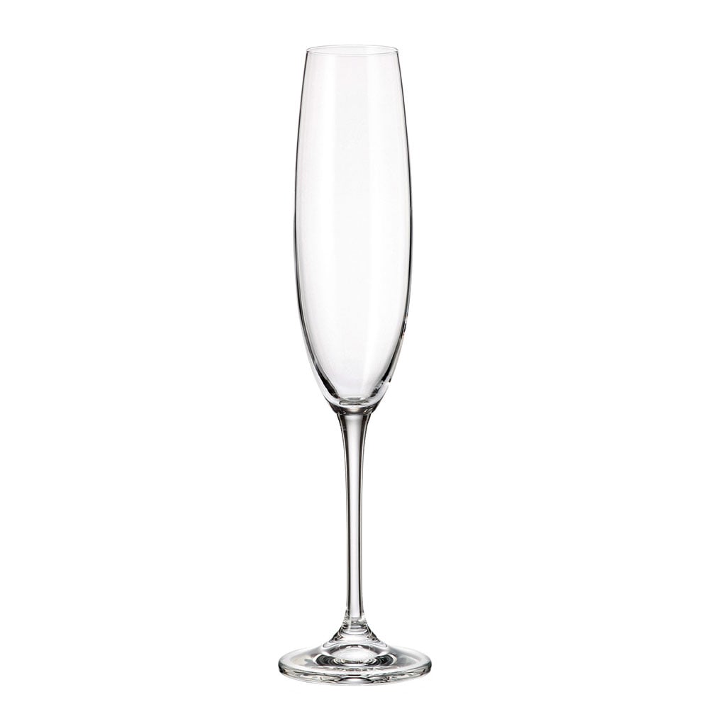 collection-fulica-champagne-flute-250--e25c2-.jpg