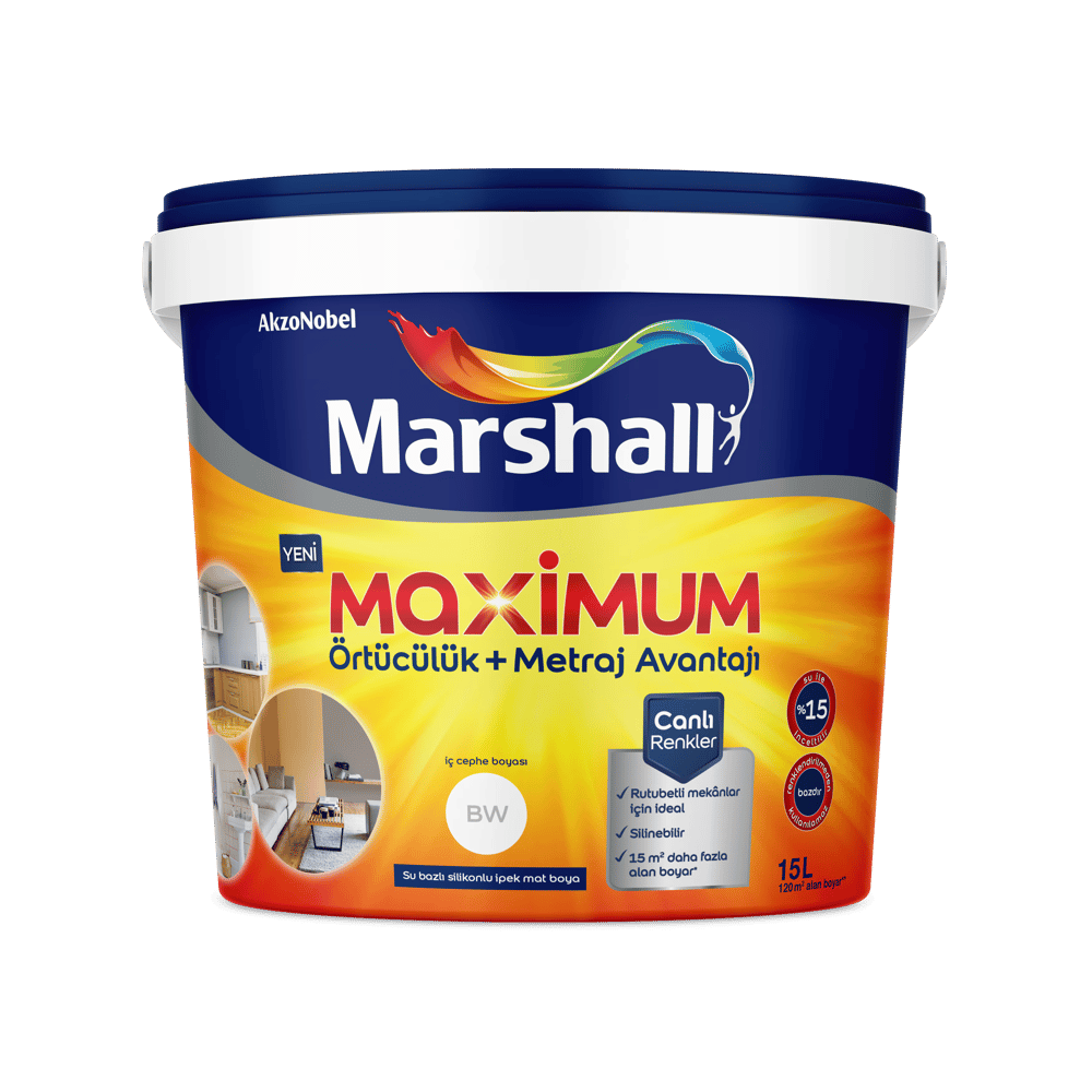 marshall-maximum-sil-a069ac.png