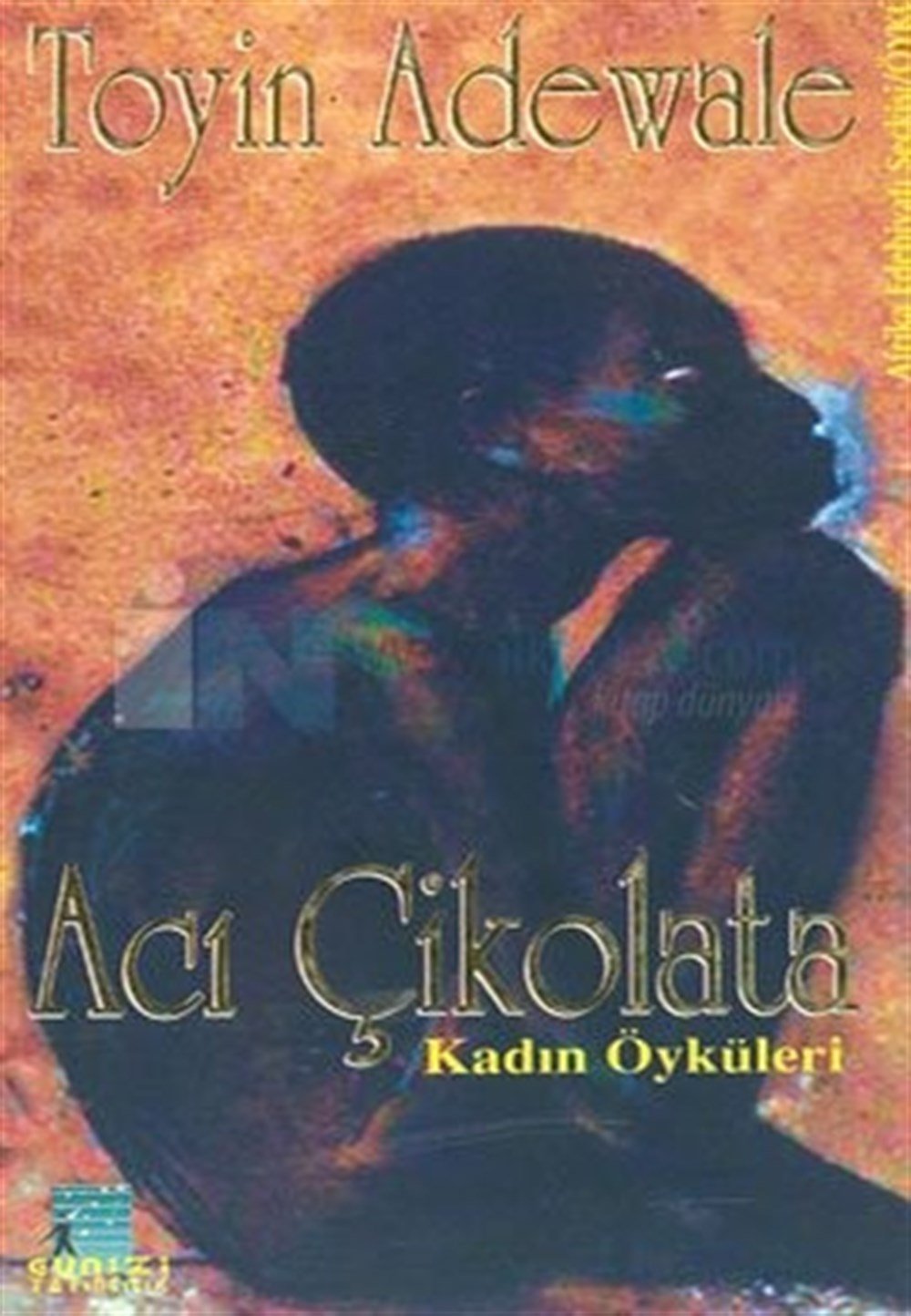 Acı Çikolata Kadın Öyküleri Toyin Adewale Günizi Yayıncılık