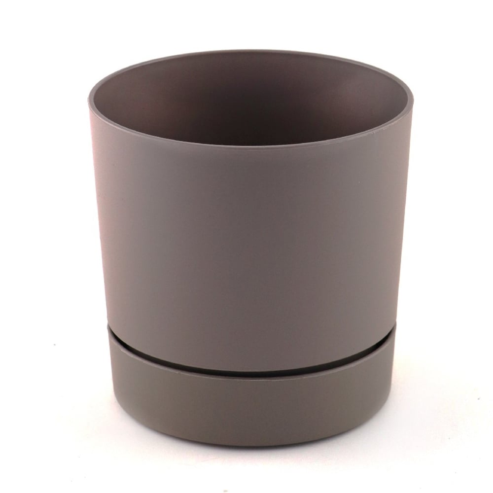 Begonya Saksı Krem 12cm
