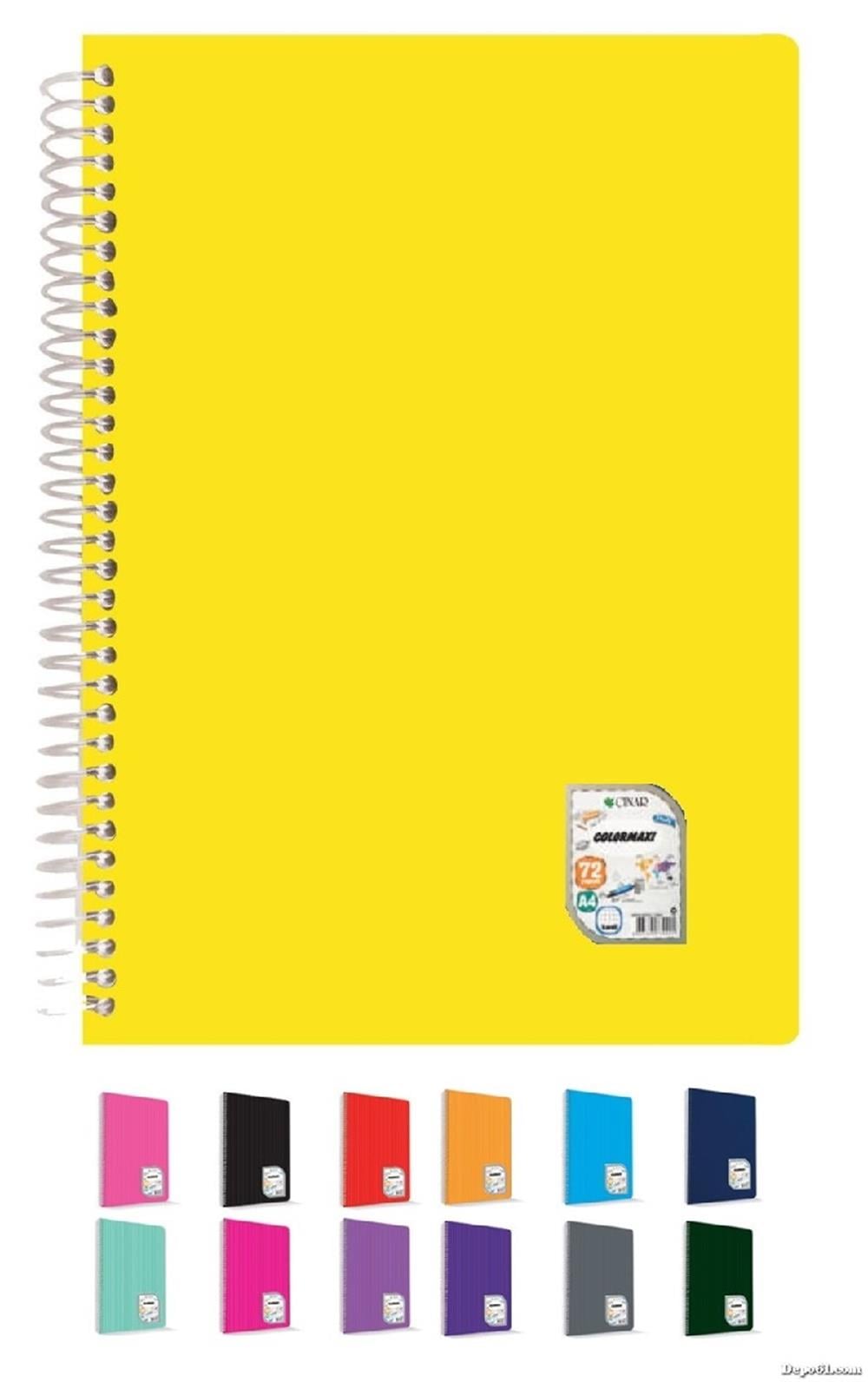 Çizgili Defter