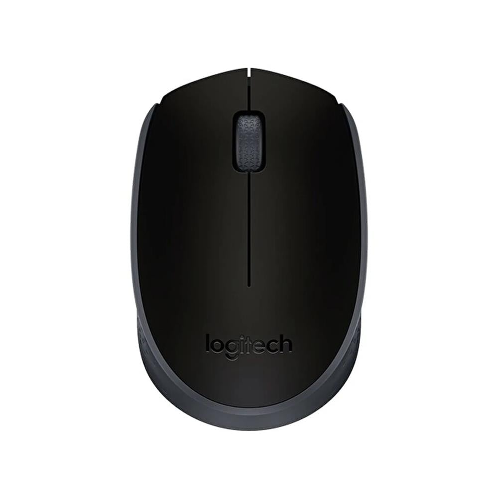 Mouse