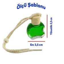 Aromagic Mango Asma Şişe Araç Kokusu