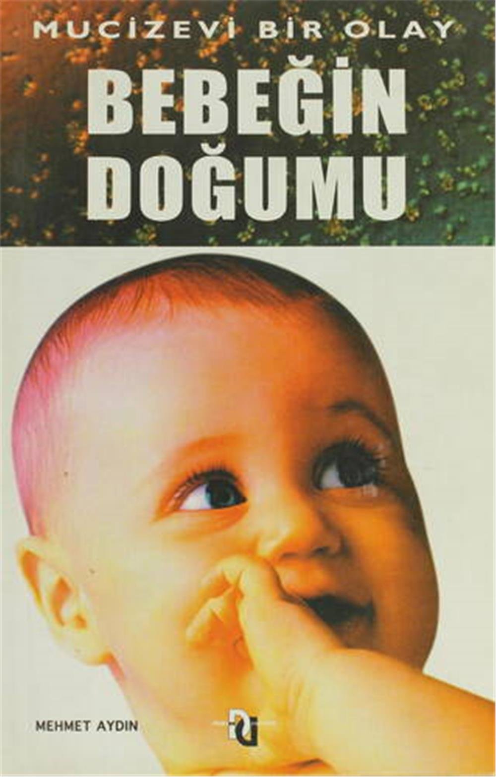 Bebeğin Doğumu Mehmet Aydın Düşün Yayınları