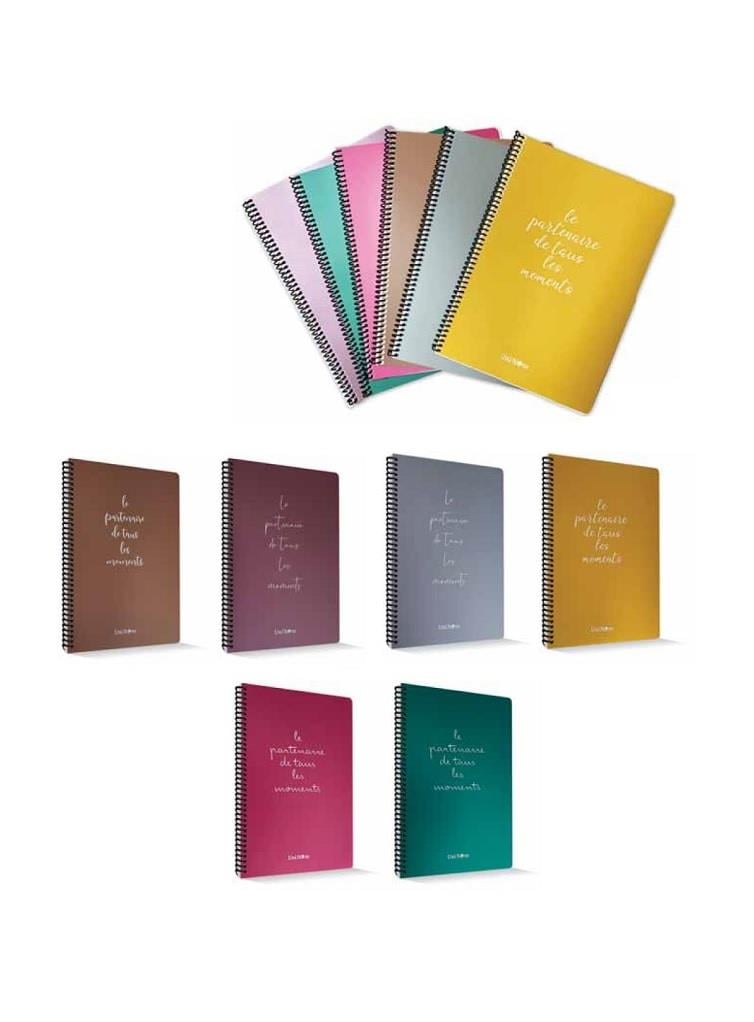 Çizgili Defter