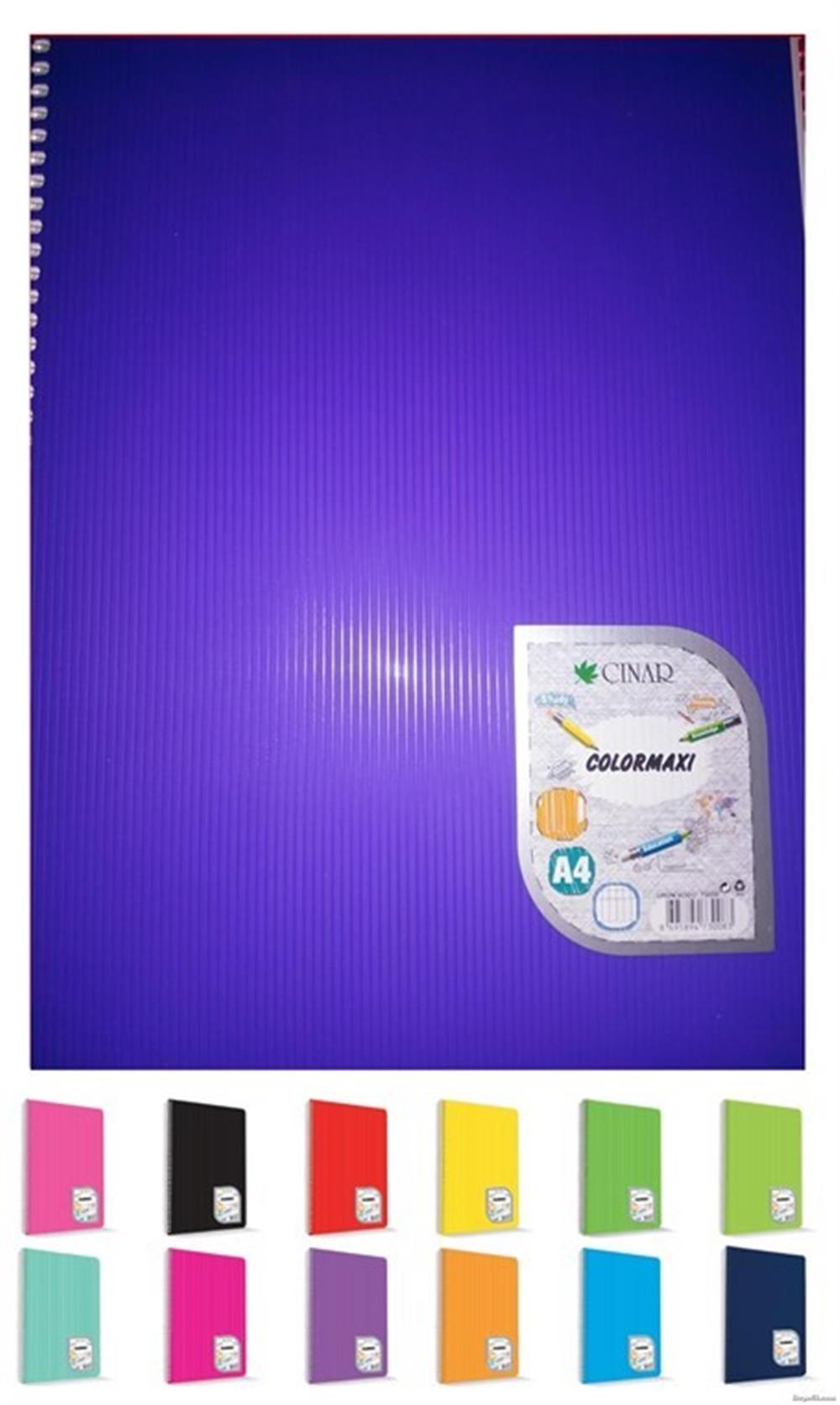 Çizgili Defter