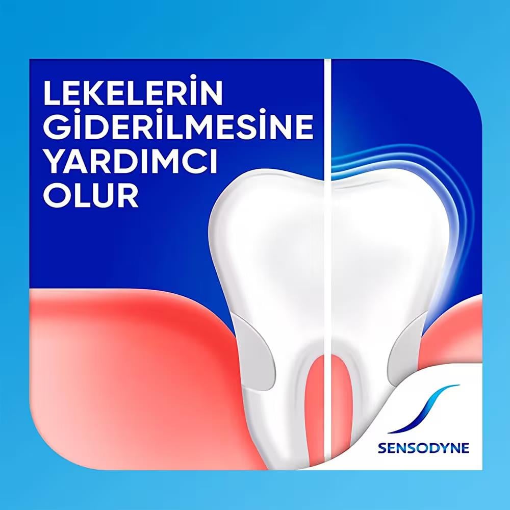 Diş Macunu/Fırça