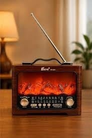 Fepe Kablosuz Radyo Hoparlör FP-821