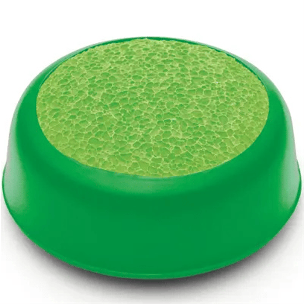 Fuşya Pul Süngeri