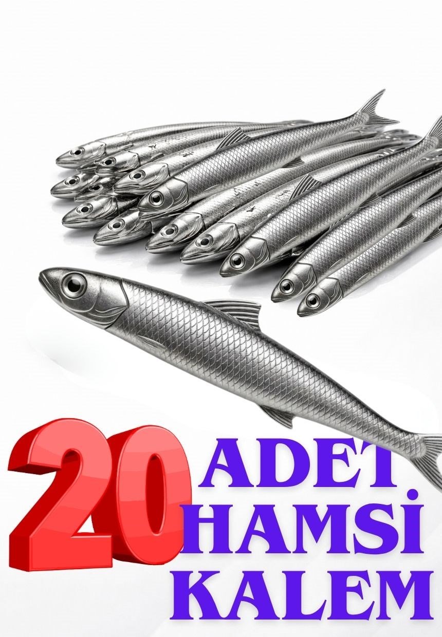 Hamsi Kalem - 20'li Paket