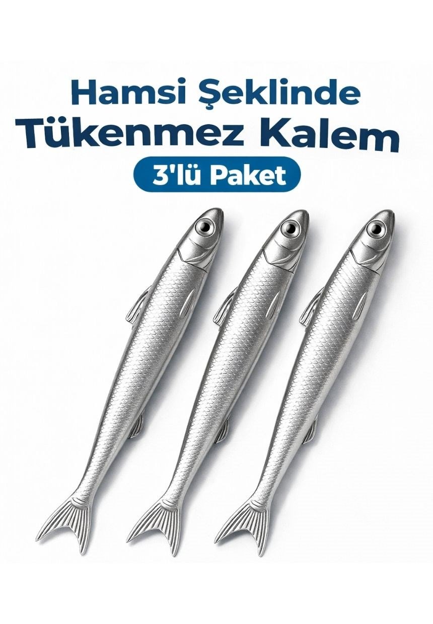 Hamsi Kalem - 3'lü Paket