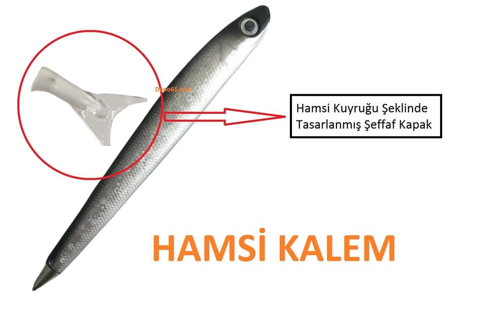 Hamsi Kalem
