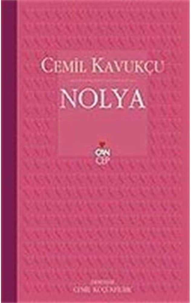 Kültür Kitapları
