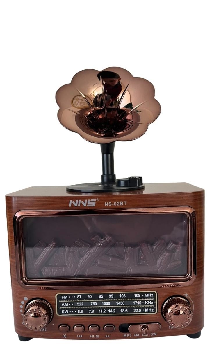 NNS Nostajik Gramafon Radyo NS-02BT