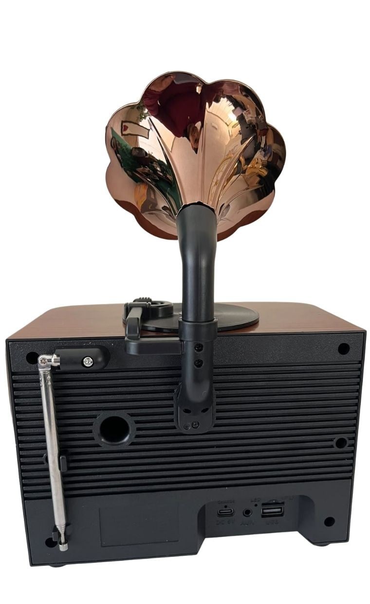 NNS Nostajik Gramafon Radyo NS-02BT